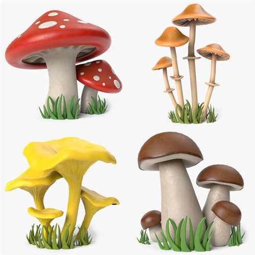 Controllo commestibilità funghi